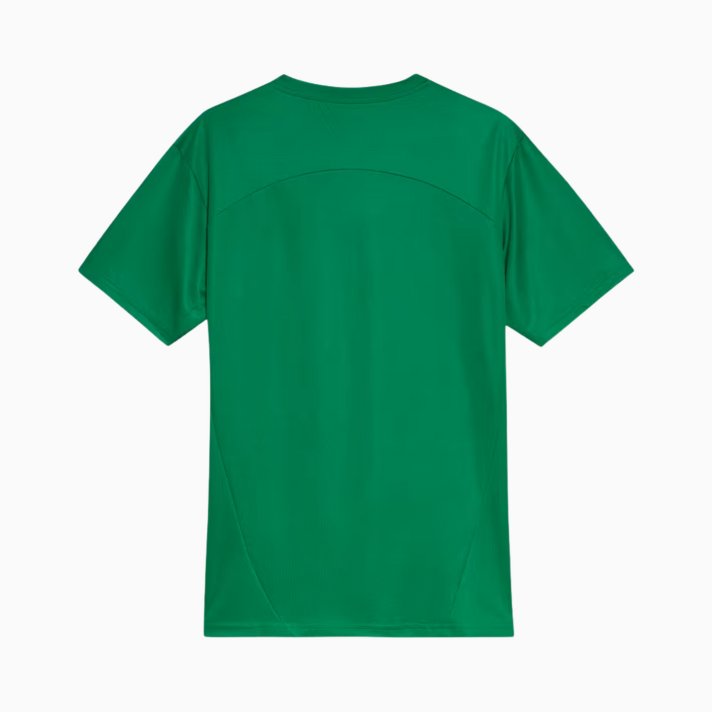 Camisa Palmeiras 2025 Treino Masculina