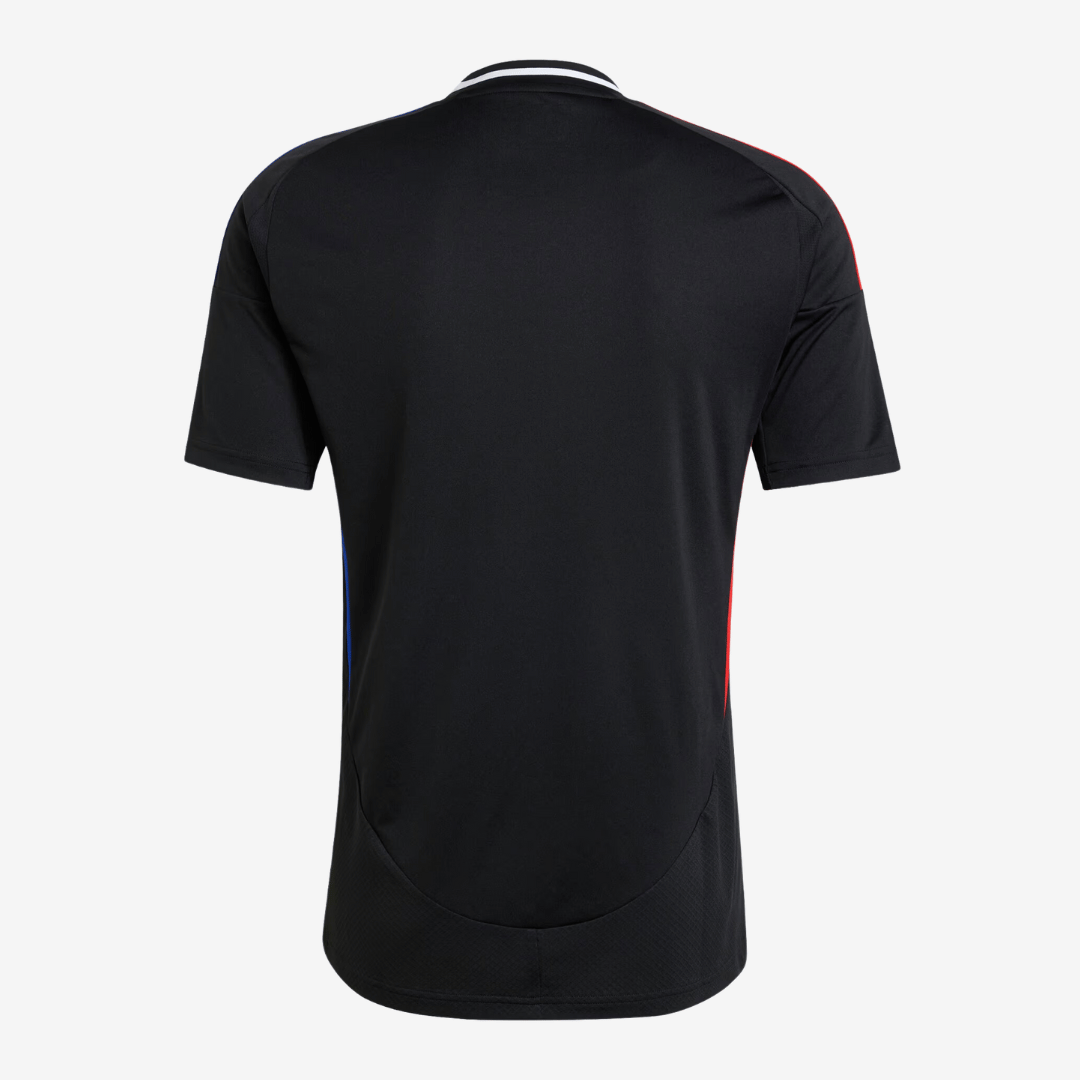 Camisa Olympique Lyonnais 2024/25 II Torcedor Masculina