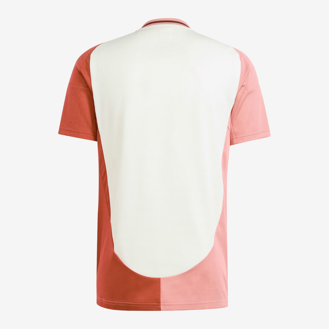 Camisa Olympique Lyonnais 2024/25 III Torcedor Masculina