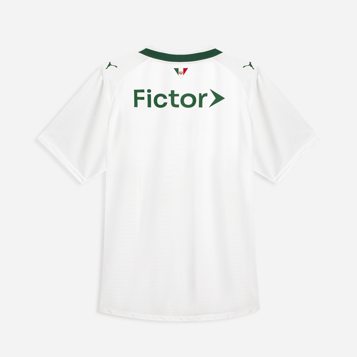 Camisa Palmeiras 2026/27 II Jogador Masculina