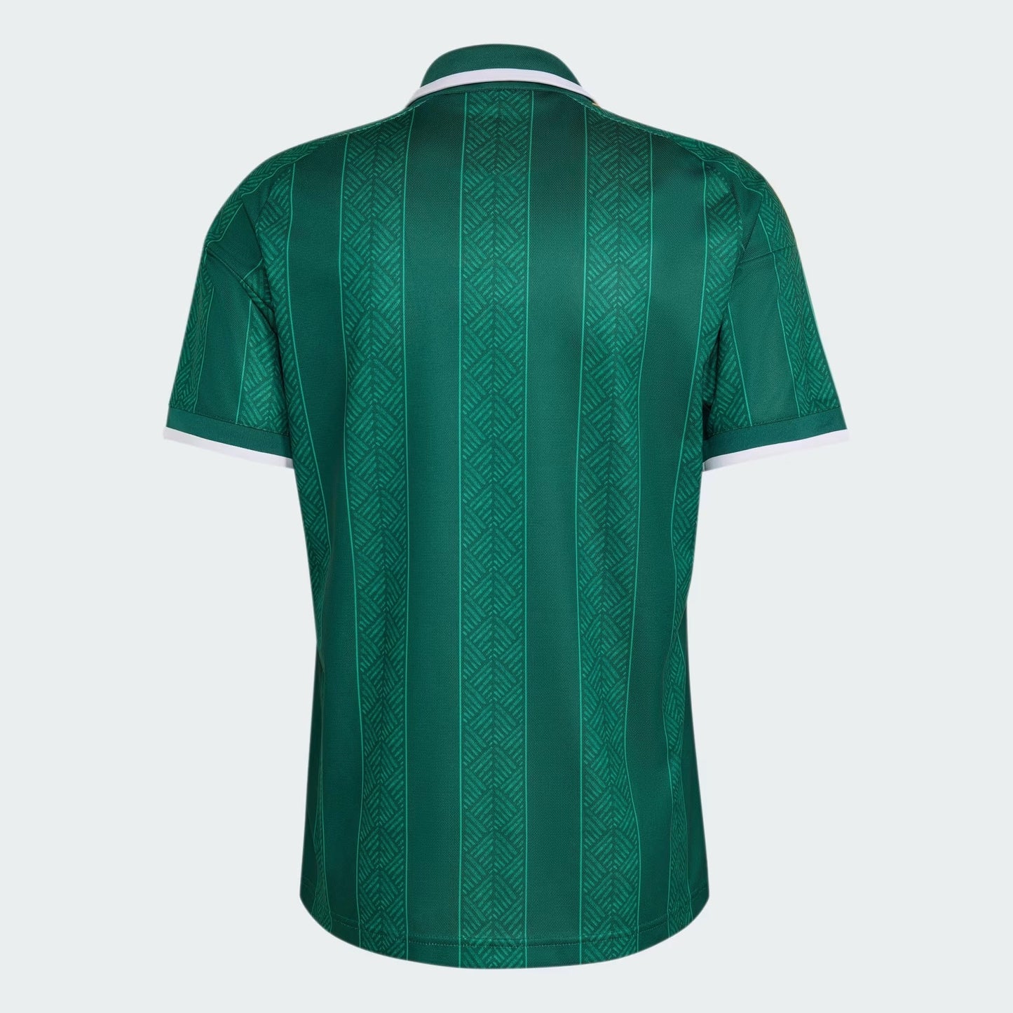 Camisa África do Sul 2026/27 I Torcedor Masculina