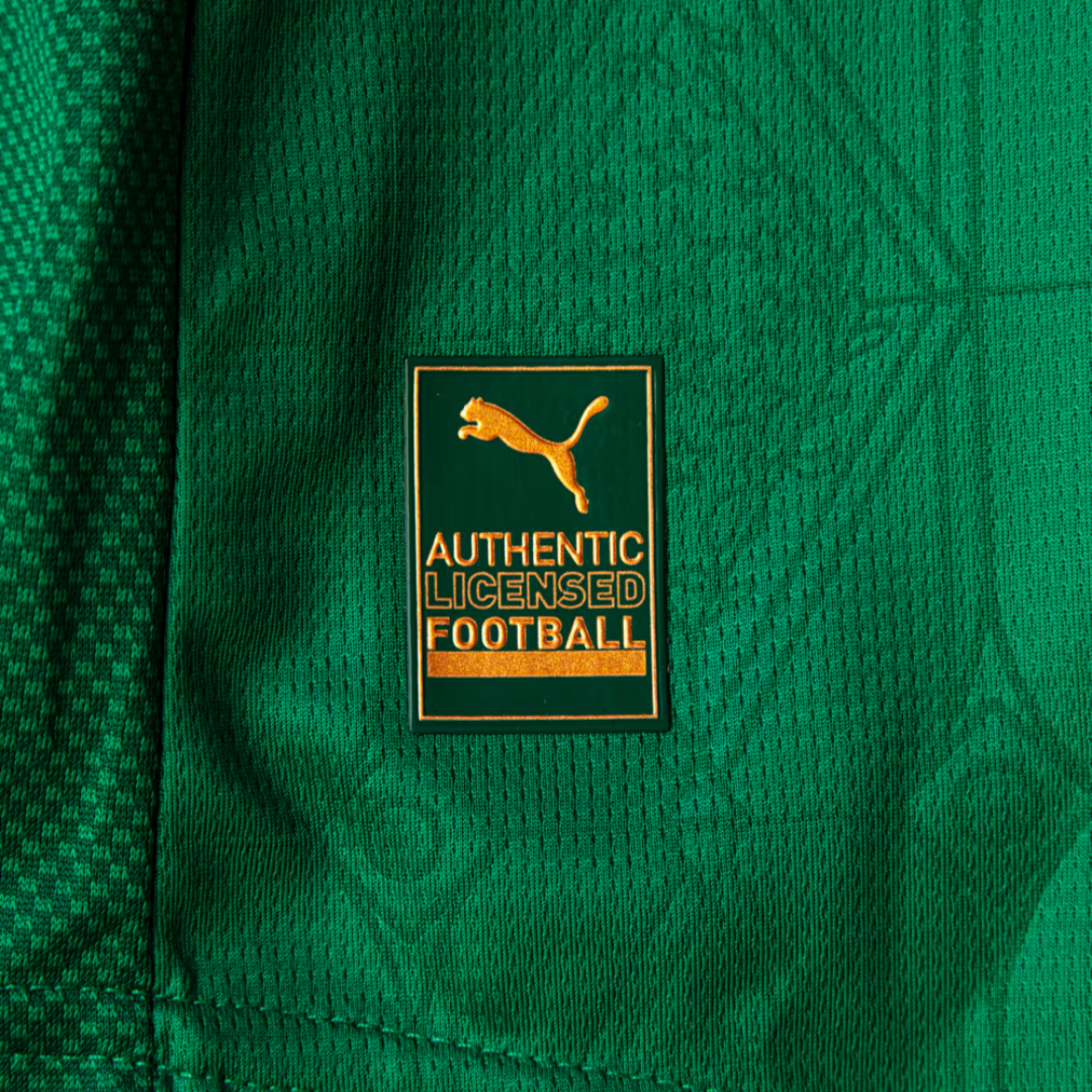 Camisa Palmeiras 2025/26 I Jogador Masculina