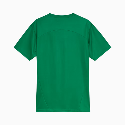Camisa Palmeiras 2025 Treino Masculina
