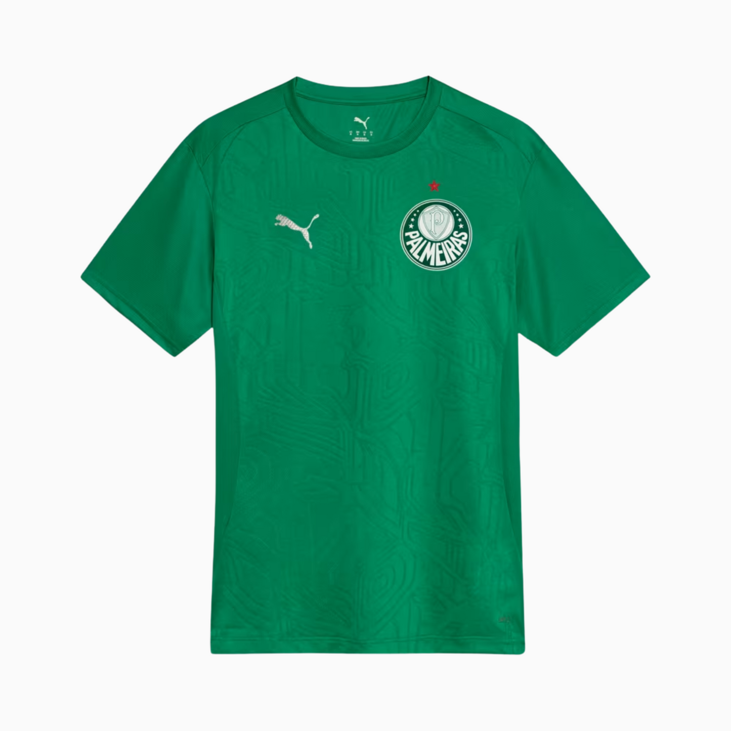 Camisa Palmeiras 2025 Treino Masculina