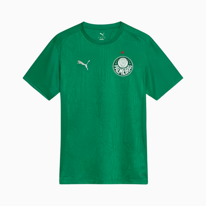 Camisa Palmeiras 2025 Treino Masculina