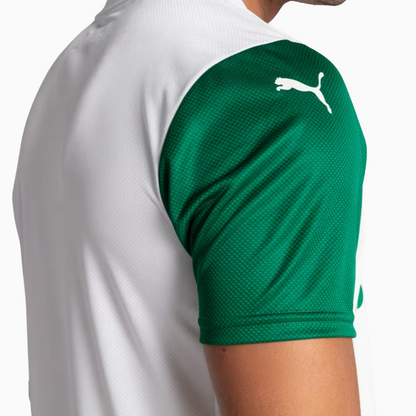 Camisa Palmeiras 2025/26 II Jogador Masculina