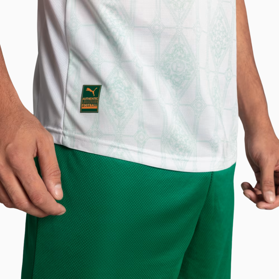 Camisa Palmeiras 2025/26 II Jogador Masculina