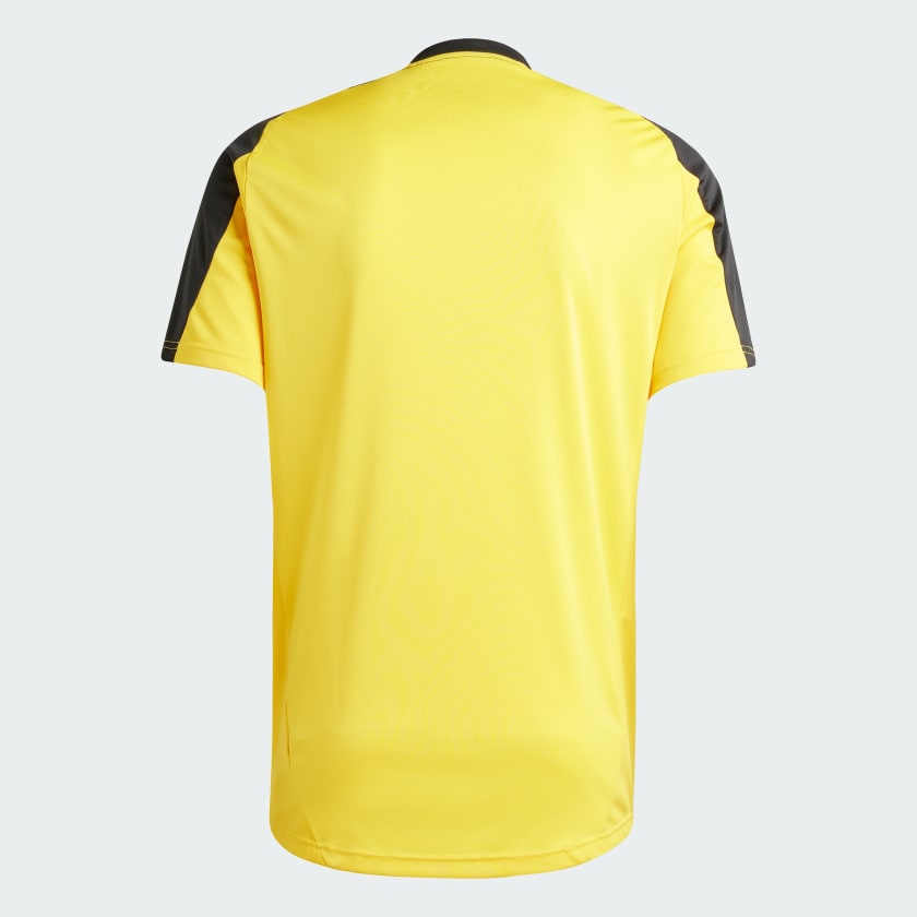 Camisa Atlético Mineiro Treino 2024/25