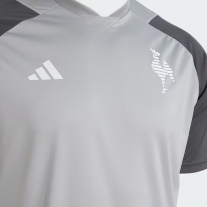 Camisa Atlético Mineiro Treino 2024 Masculina