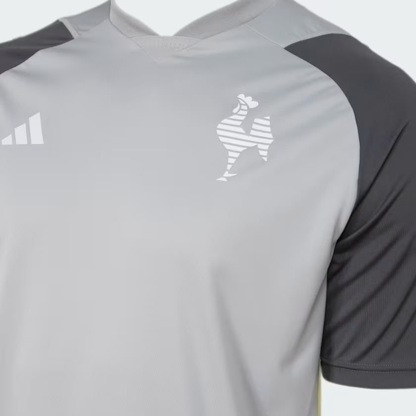 Camisa Atlético Mineiro Treino 2024 Masculina