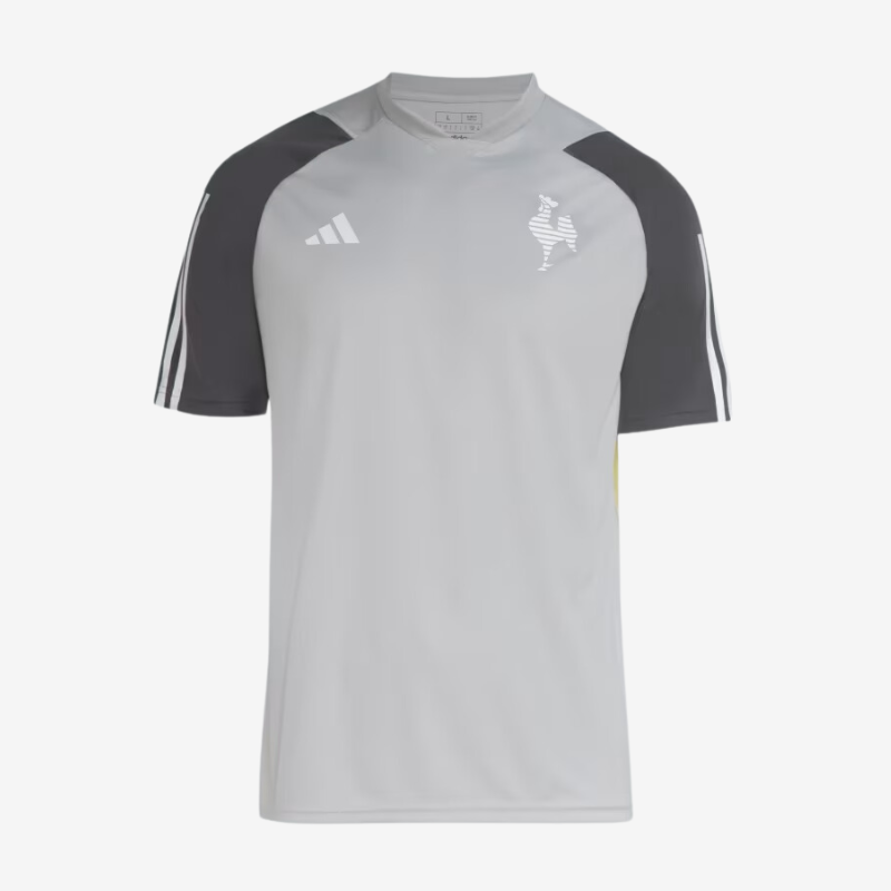 Camisa Atlético Mineiro Treino 2024 Masculina
