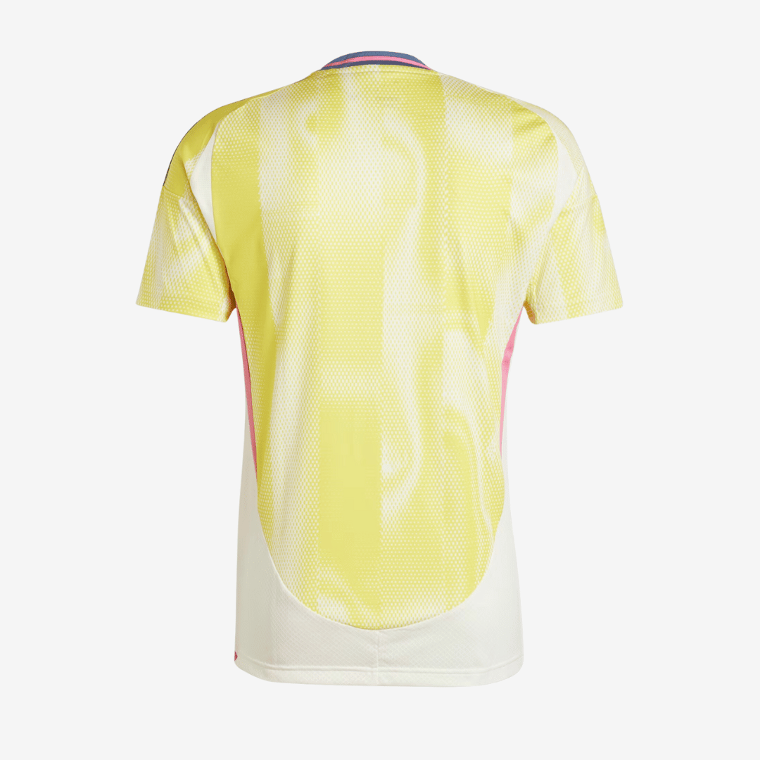Camisa Juventus FC 2024/25 II Torcedor Masculina