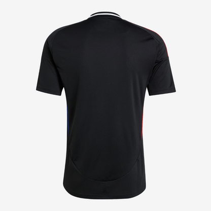 Camisa Olympique Lyonnais 2024/25 II Torcedor Masculina