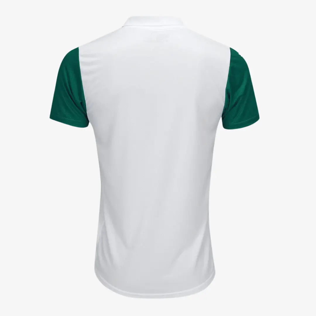 Camisa Palmeiras 2025/26 II Jogador Masculina