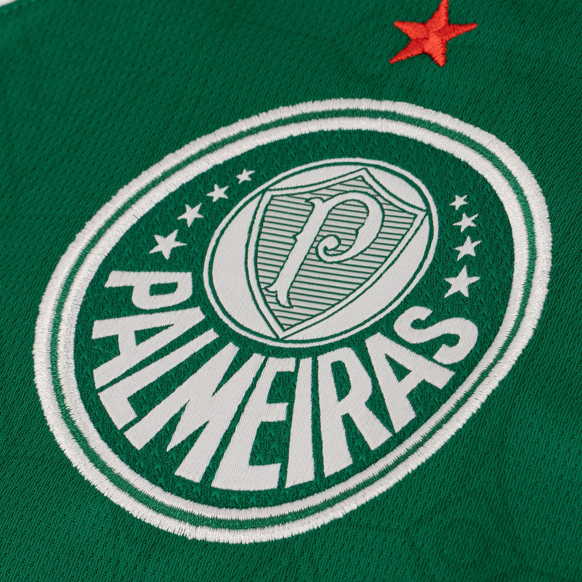 Camisa Palmeiras I 25/26 Torcedor Masculina