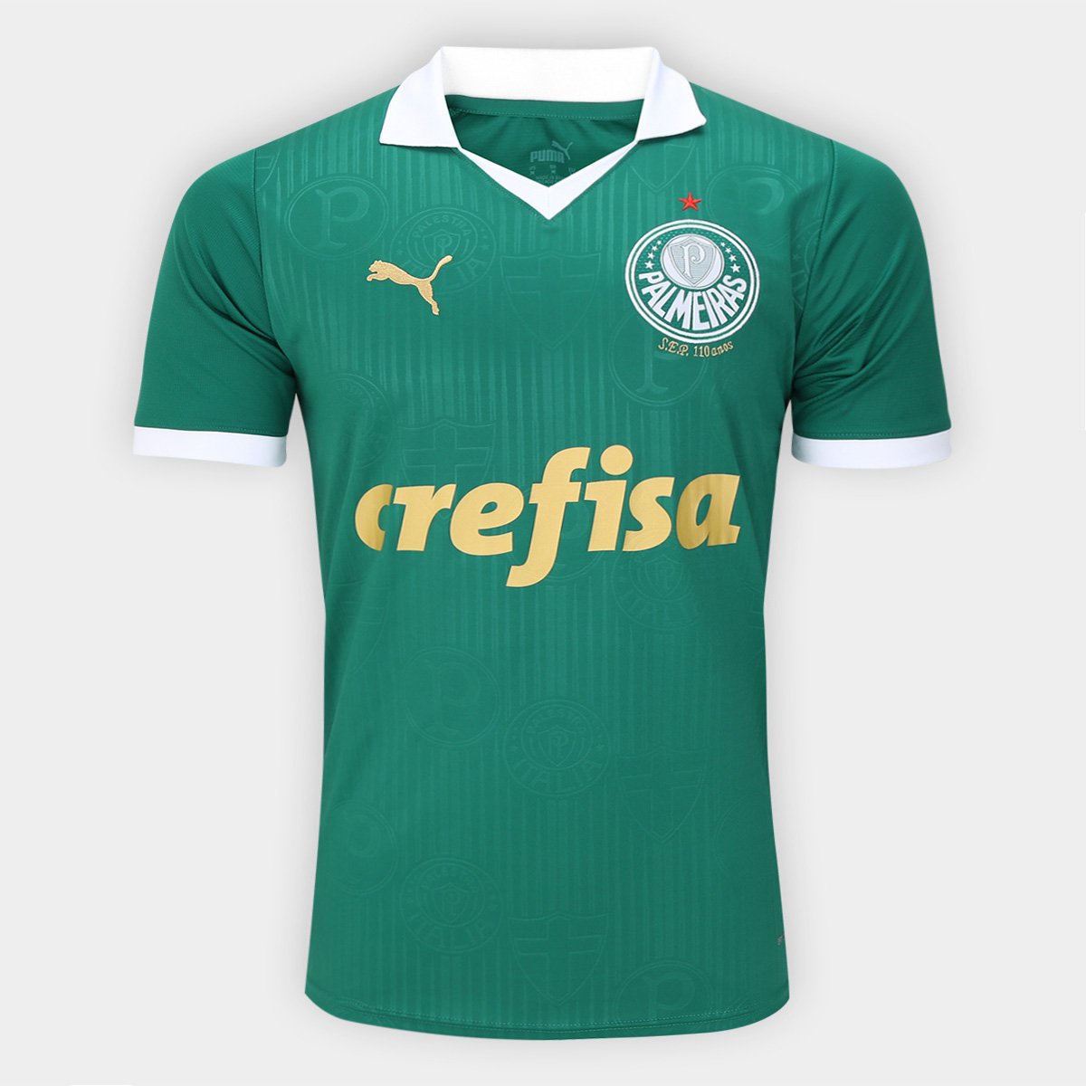 Camisa Palmeiras l 24/25 Torcedor Masculina