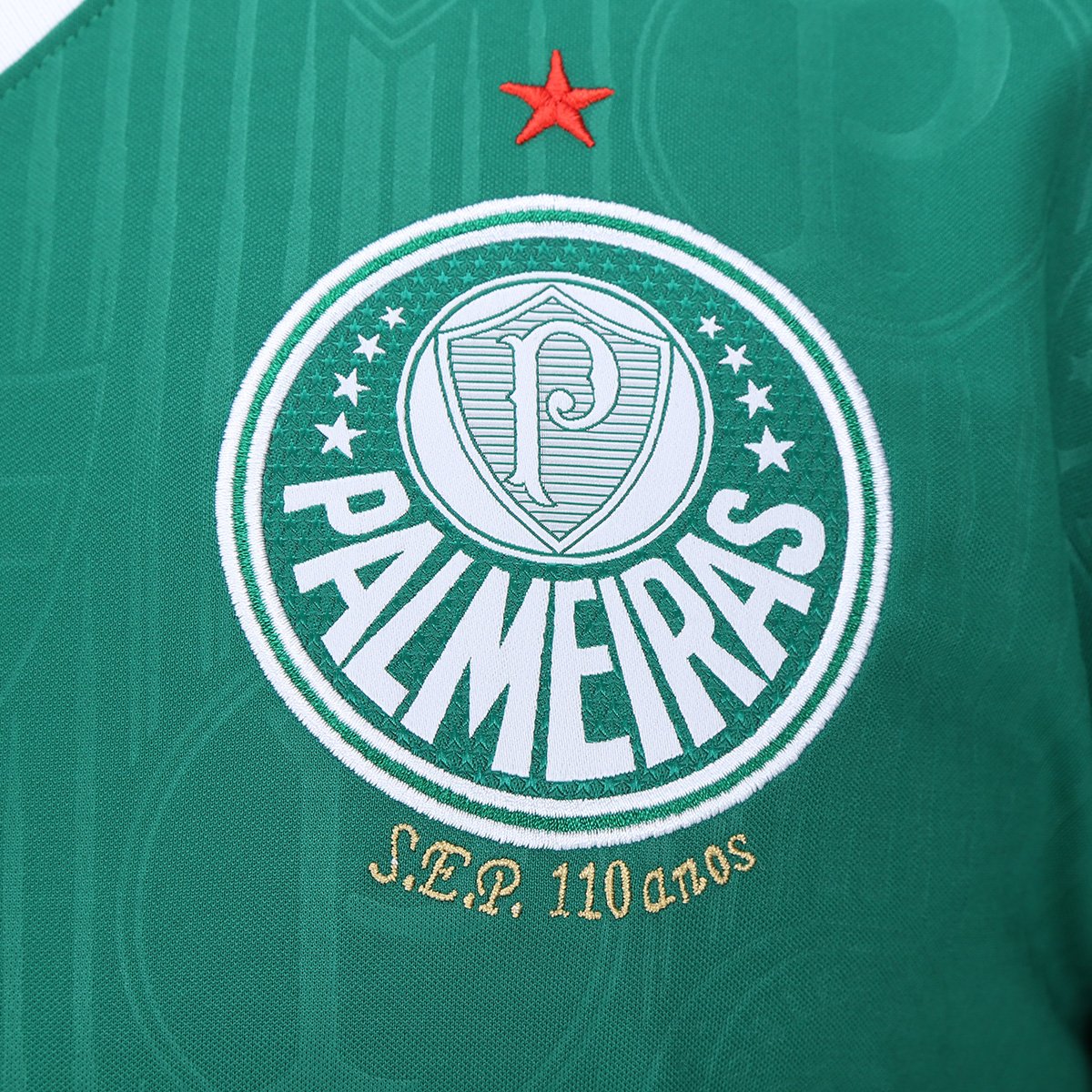 Camisa Palmeiras l 24/25 Torcedor Masculina