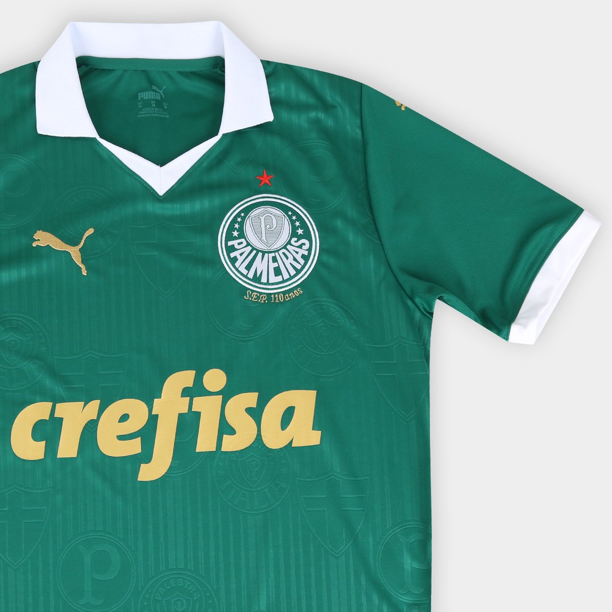 Camisa Palmeiras l 24/25 Torcedor Masculina