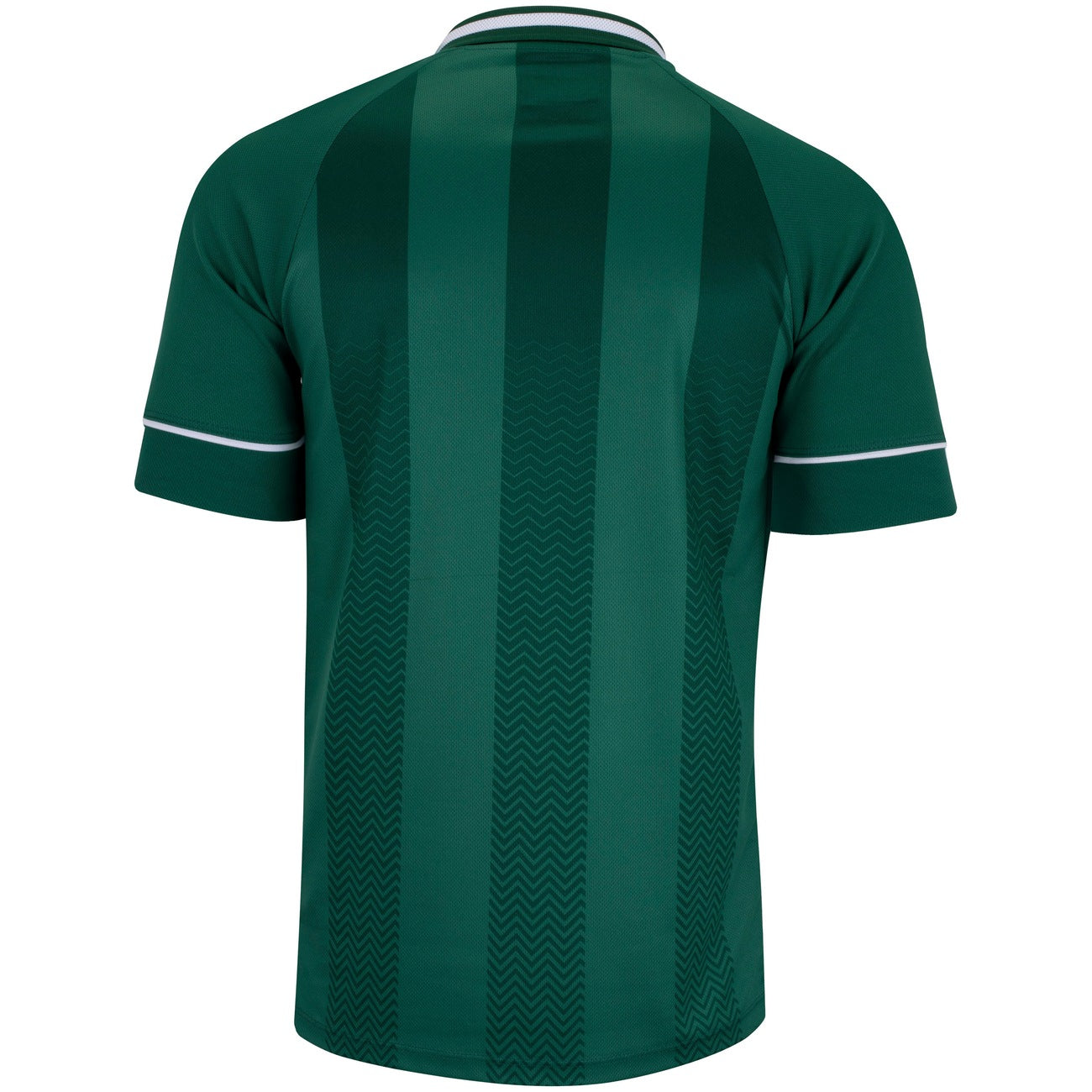 Camisa da Chapecoense I 25/26 Torcedor Masculina