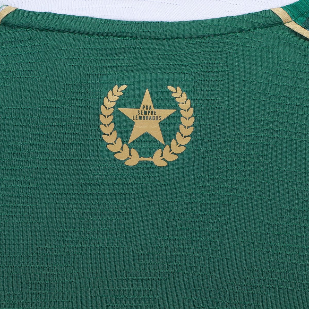 Camisa Chapecoense l 26/27 Torcedor Masculina