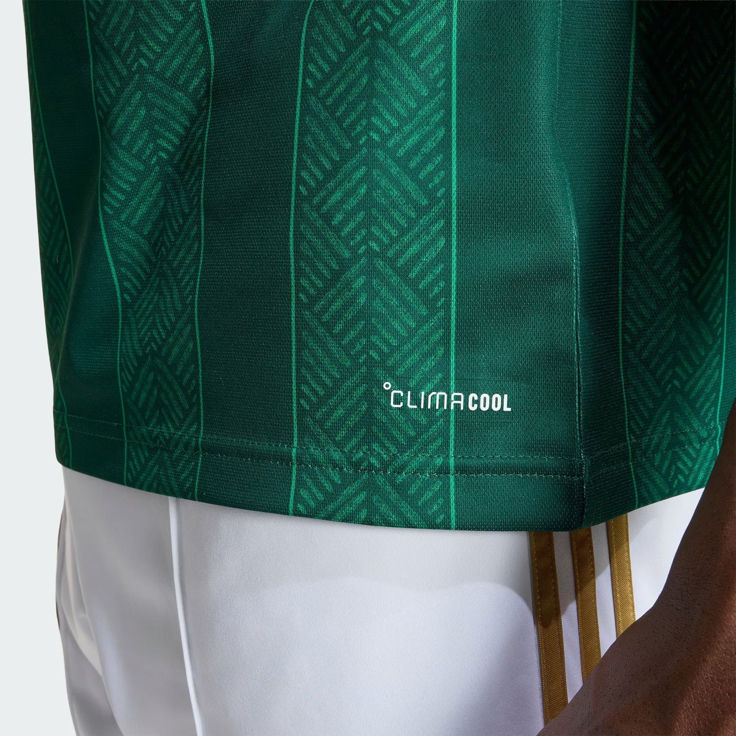 Camisa África do Sul 2026/27 I Torcedor Masculina