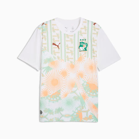 Camisa Costa do Marfim 2026/27 II Torcedor Masculina